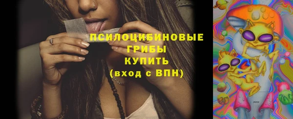MDMA Premium VHQ Богородицк