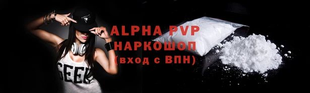 стаф Баксан