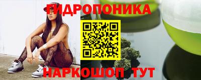 прущие грибы Лесосибирск