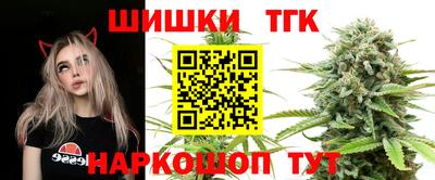 прущие грибы Лесосибирск