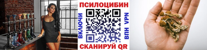 Галлюциногенные грибы Psilocybine cubensis  наркота  Горно-Алтайск 