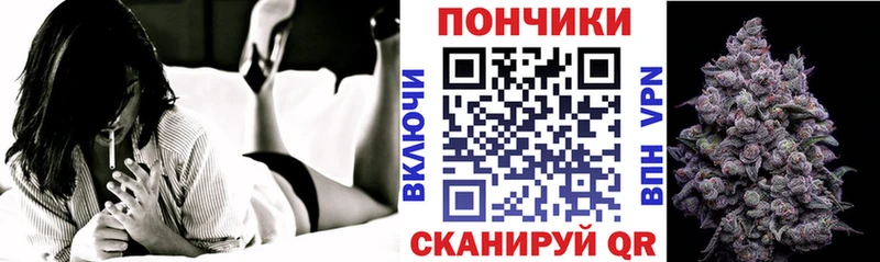 купить наркотики цена  Горно-Алтайск  Канабис план 